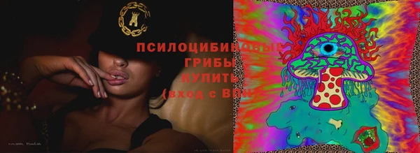 дживик Алзамай