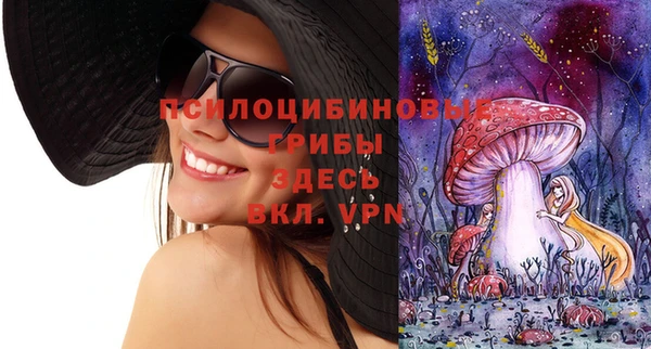 дживик Алзамай