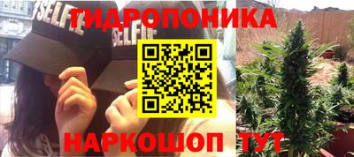прущая мука Лесосибирск