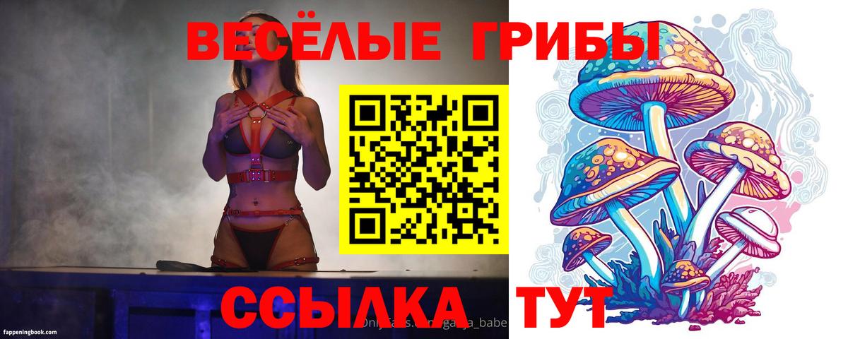 Галлюциногенные грибы Cubensis Полевской